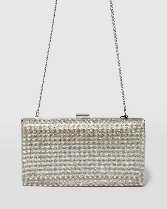 Silver Margot Hardcase Clutch Bag