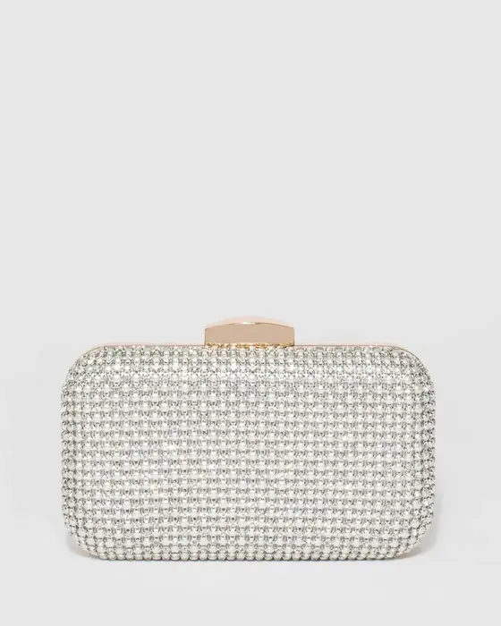 Silver Penelope Hardcase Clutch Bag