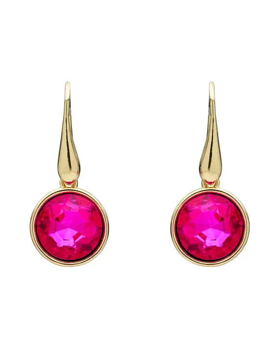 SINGLE COLOUR HOOK EARRING